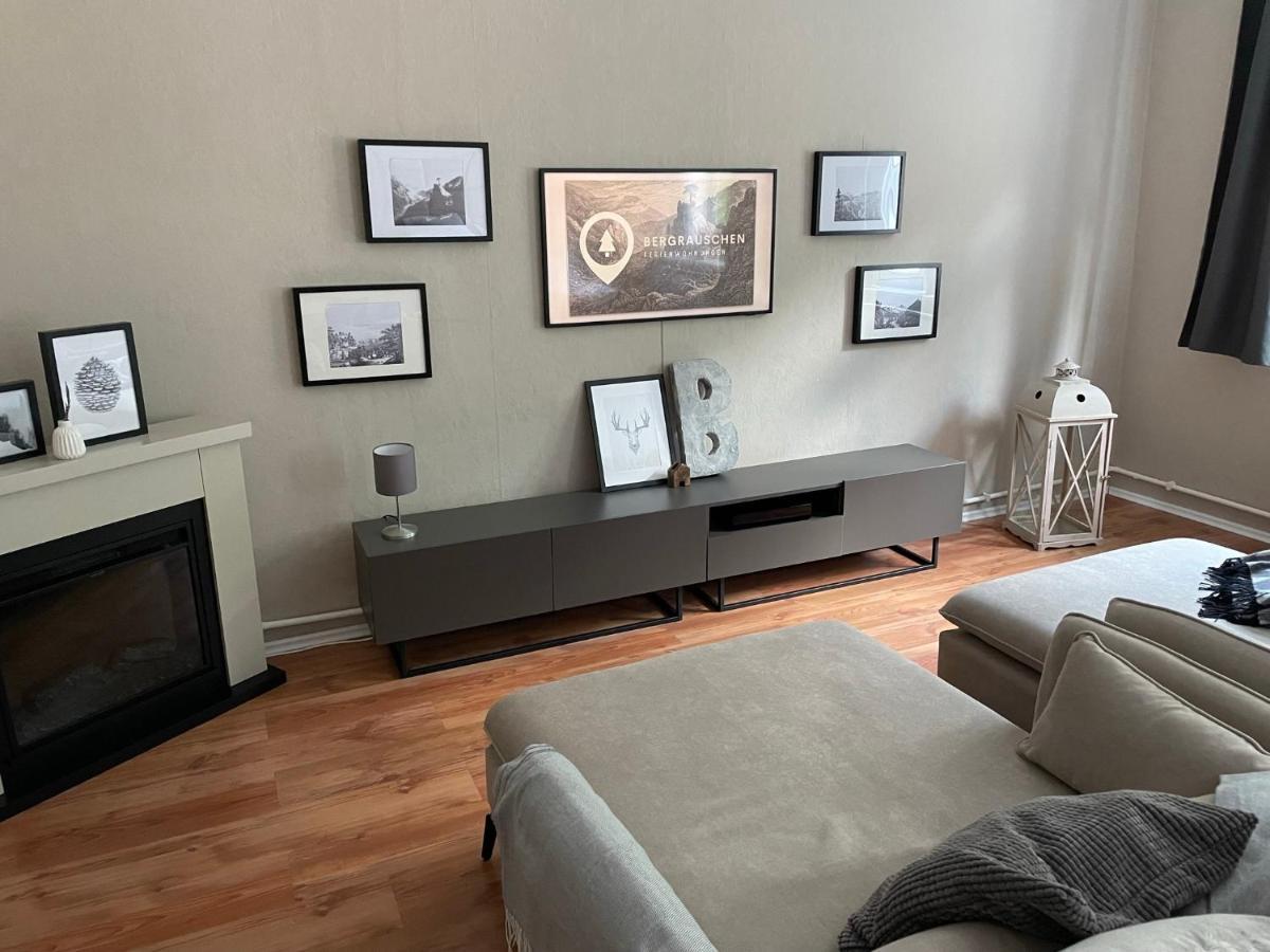 Bergrauschen - Waldloft - Preise Inklusive Waesche Apartment Гослар Екстериор снимка