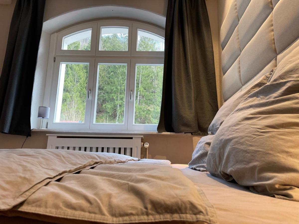 Bergrauschen - Waldloft - Preise Inklusive Waesche Apartment Гослар Екстериор снимка