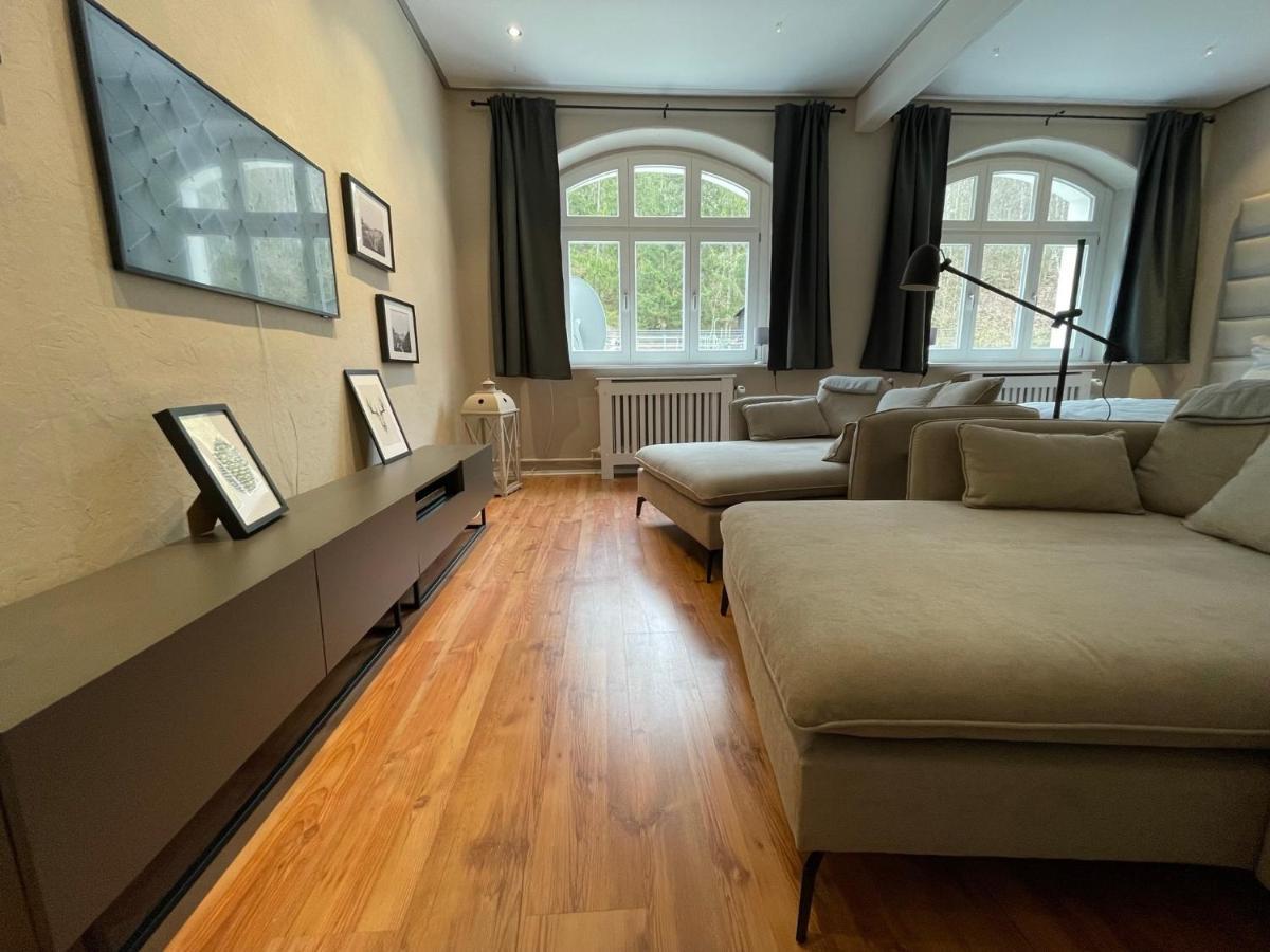 Bergrauschen - Waldloft - Preise Inklusive Waesche Apartment Гослар Екстериор снимка