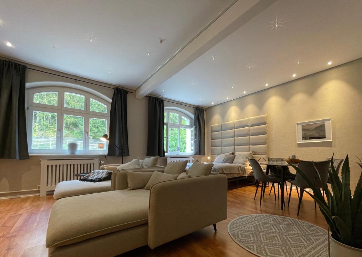 Bergrauschen - Waldloft - Preise Inklusive Waesche Apartment Гослар Екстериор снимка